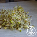 Handy Pantry 5 Part Salad Mix - Organic - Sprouting Seeds