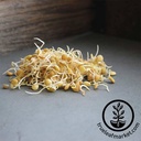 Handy Pantry Green Lentil - Organic - Sprouting Seeds