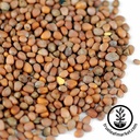 Handy Pantry Daikon Radish - Organic - Sprouting Seeds