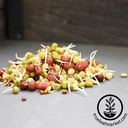 Handy Pantry Bean Salad Mix - Organic - Sprouting Seeds8 oz