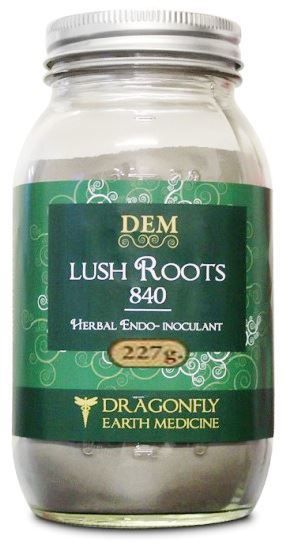 Dragonfly Earth Medicine Lush Roots