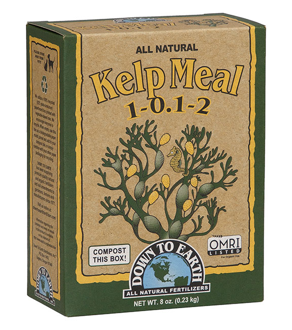Down To Earth Kelp Meal 1-0.1-2 *OMRI*