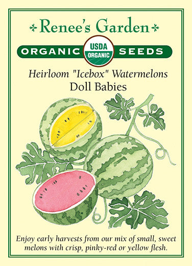 Renee's Garden Heirloom Watermelons Icebox Doll Babies