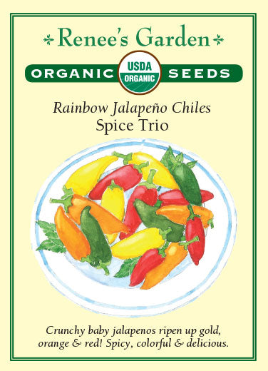 Renee's Garden Pepper Jalapeño Rainbow Chiles Spice Trio