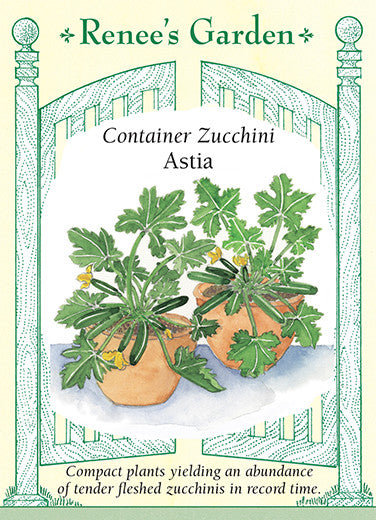 Renee's Garden Zucchini Astia Container