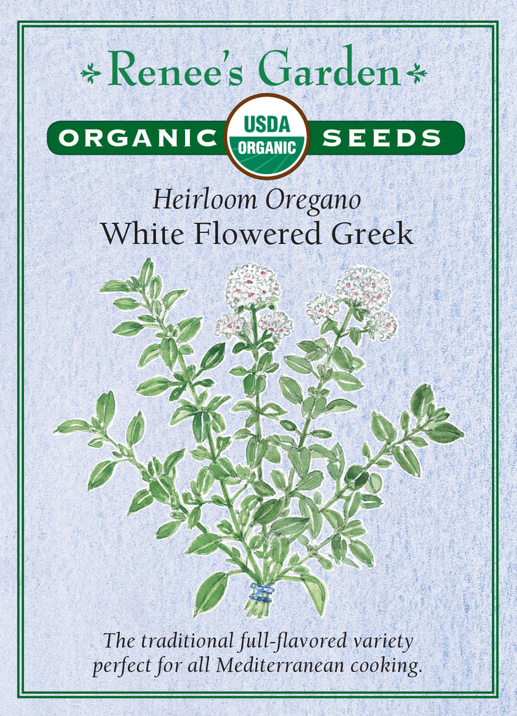 Renee's Garden Heirloom Oregano White Flowered Greek