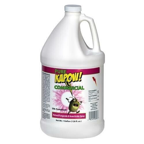 Pure Kapow Commercial, 1 gal