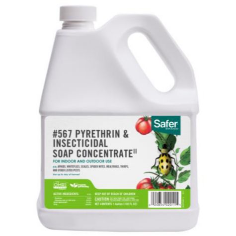 Safer Pyrethrin &amp; Insecticidal Soap Concentrate II, 1 gal