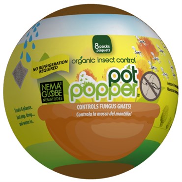 Enviro Pot Popper Organic Gnat Control, 8-Pack
