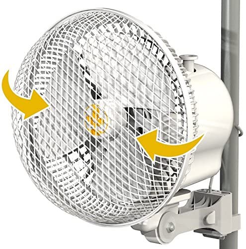 Monkey Fan Oscillating, 6 in, 20 Watt