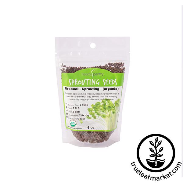 Handy Pantry Broccoli - Organic - Sprouting Seeds, 4 oz