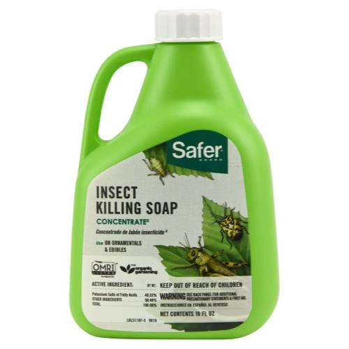 Safer Insect Killing Soap, 16 fl oz