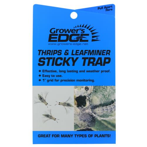 Sticky Thrip/Leafminer Traps, 5-Pack