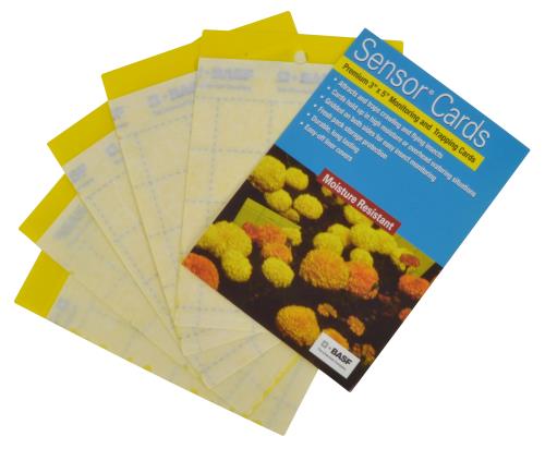 Sensor Cards Yellow Monitoring and Trapping Cards, 50-Pack