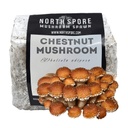 North Spore Chestnut Mushroom Sawdust Spawn, 5.5 lb