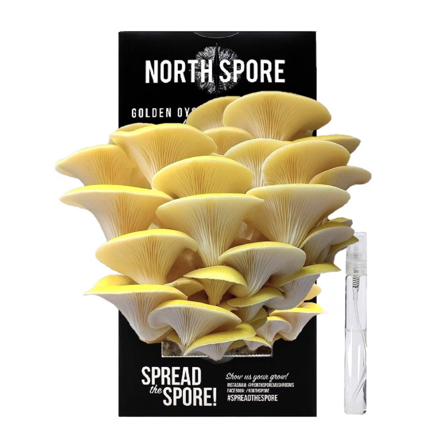 North Spore Golden Oyster ‘Spray &amp; Grow’ Mushroom Growing Kit