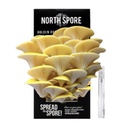 North Spore Golden Oyster ‘Spray &amp; Grow’ Mushroom Growing Kit