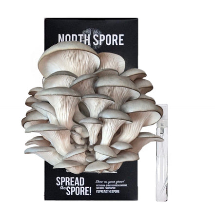 North Spore Blue Oyster ‘Spray &amp; Grow’ Mushroom Growing Kit