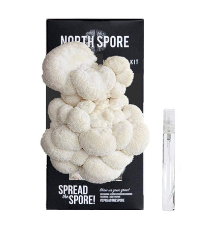 North Spore Lion's Mane ‘Spray &amp; Grow’ Mushroom Growing Kit