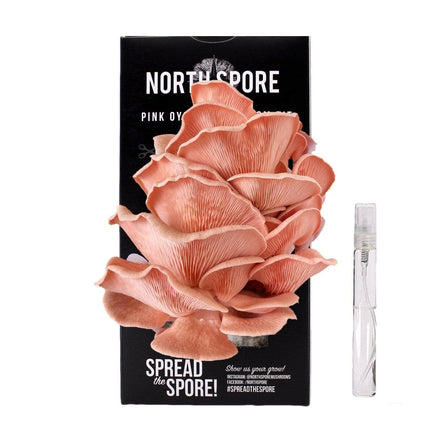 North Spore Pink Oyster ‘Spray &amp; Grow’ Mushroom Growing Kit
