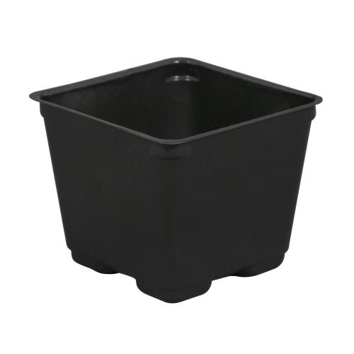 Gro Pro Black Square Pots Blow-Molded, 4 in x 4 in