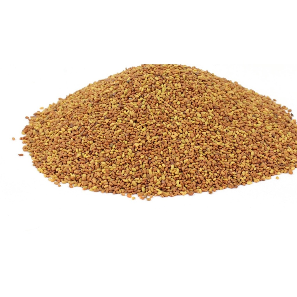 BuildASoil Alfalfa Seed - For Organic Sprouted Seed Tea, 3 lb