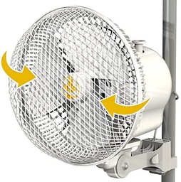 [601119V20] Monkey Fan Oscillating 20 Watt