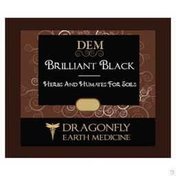 DragonFly Earth Medicine Brilliant Black