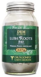 Dragonfly Earth Medicine Lush Roots