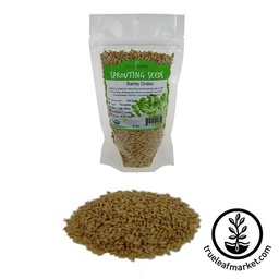 [16788] Handy Pantry Barley - Whole (Organic) - Grass Seeds 8oz