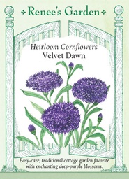 [5547] Renee's Garden Heirloom Cornflowers Velvet Dawn