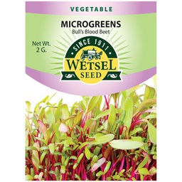[WET12049] Wetsel Seed Microgreens Bull's Blood Beet Seed, 2 g