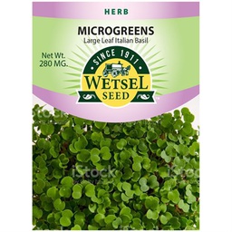 [WET45209] Wetsel Seed Microgreens Large Leaf Italian Basil Seed, 280 mg